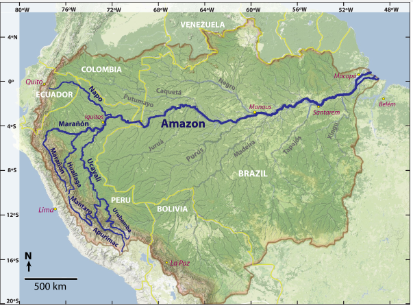 The Amazon River basin
