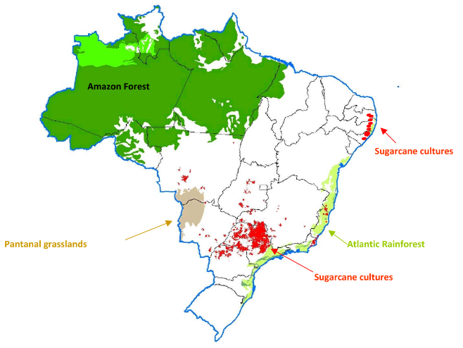 Location of environmentally valuable areas with respect to sugarcane plantations