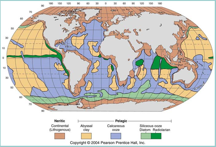 the distribution of marine pelagic and neritic sediments