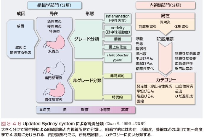 Updated Sydney system ɂ݉