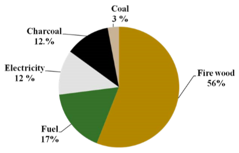 Energy demand and consumption