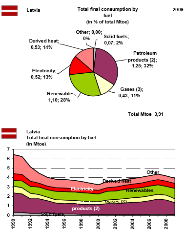 Total final consumption by fuel