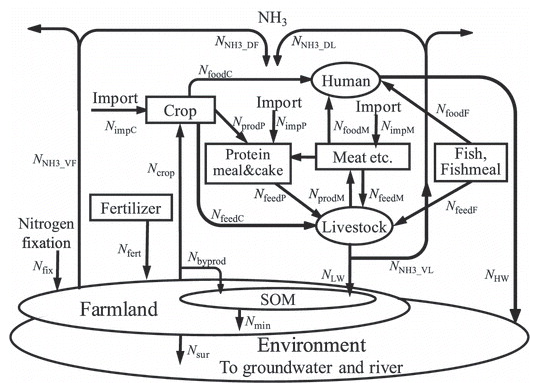 Schematic diagram of the nitrogen flow model of food supply and consumption