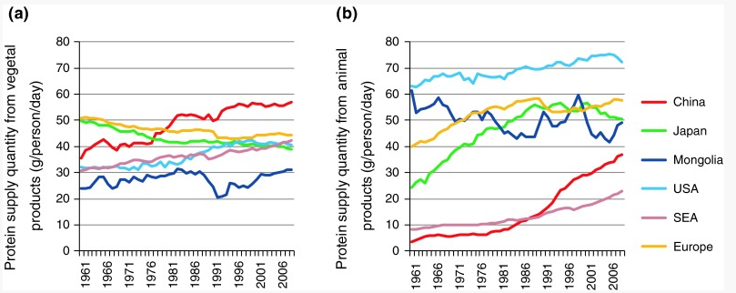 Fifty-year trends of per capita daily protein supply from vegetal and animal products in the different study regions