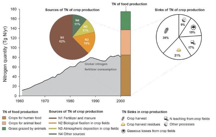 Total nitrogen input (TN) of food production