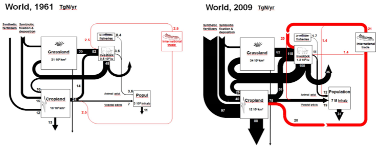 .GeneralizedrepresentationofNtransfersthroughtheworldagro-foodsystem(GRAFS)in1961and2009