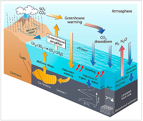 Model to illustrate the variety of geochemical processes characteristic of OAEs