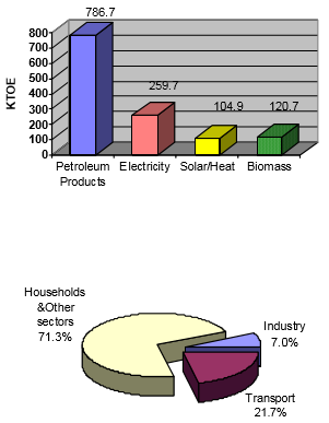 Total final energy consumption by fuel and sector,2007