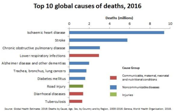 Top 10 global causes of deaths, 2016