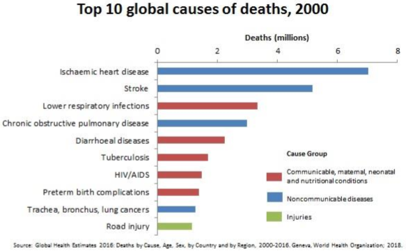 Top 10 global causes of deaths, 2000
