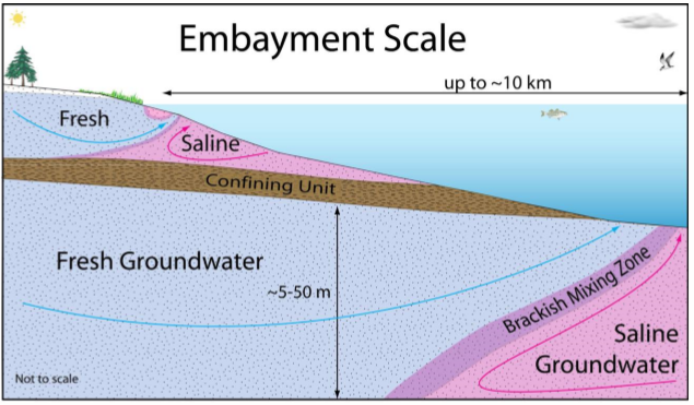 Schematic diagram of the embayment or inner-shelf scale of submarine groundwater ?ow and discharge showing submarine ?ow of low-salinity water in the ?rst con?ned aquifer and the zone of offshore discharge beyond the edge of the submarine con?ning unit