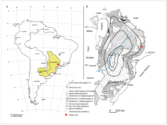 The Paraná Sedimentary Basin within the South American Continent