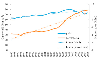 Twenty-five years of Brazilian cane yield and harvest area records