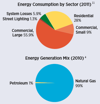 Electricity Sector Overview