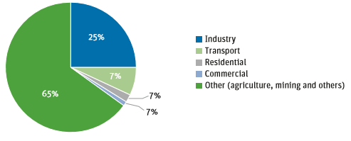 Distribution of final consumption by sector