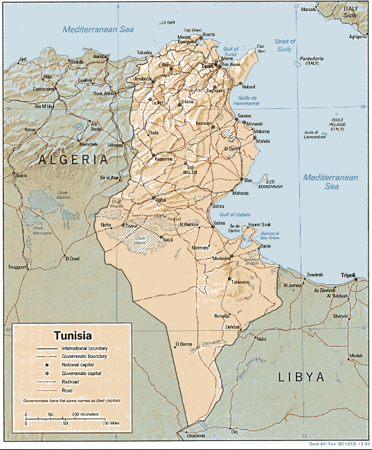 Tunisia (Shaded Relief) 1990