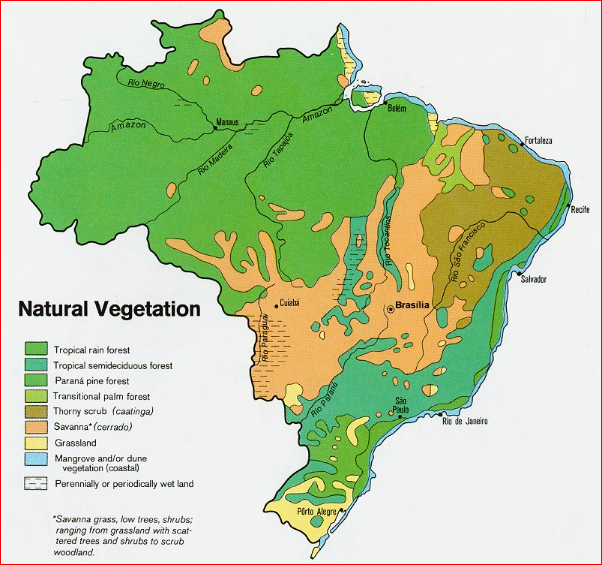 Brazil Natural Vegetation 