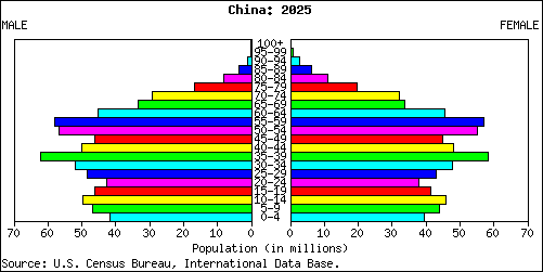 Population Pyramid for China: 2025