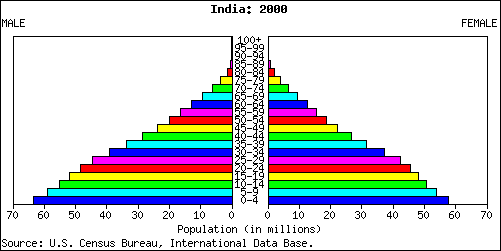 Population Pyramid for India: 2000