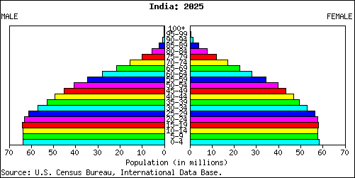 Population Pyramid for India: 2025
