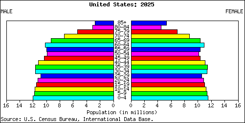 Population Pyramid for United States: 2025