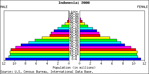 Population Pyramid for Indonesia: 2000