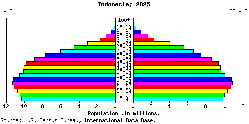 Population Pyramid for Indonesia: 2025