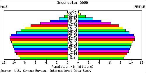 Population Pyramid for Indonesia: 2050