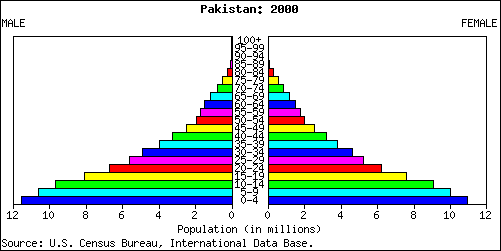 Population Pyramid for Pakistan: 2000