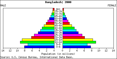 Population Pyramid for Bangladesh: 2000