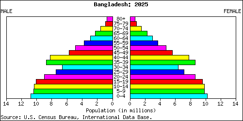 Population Pyramid for Bangladesh: 2025